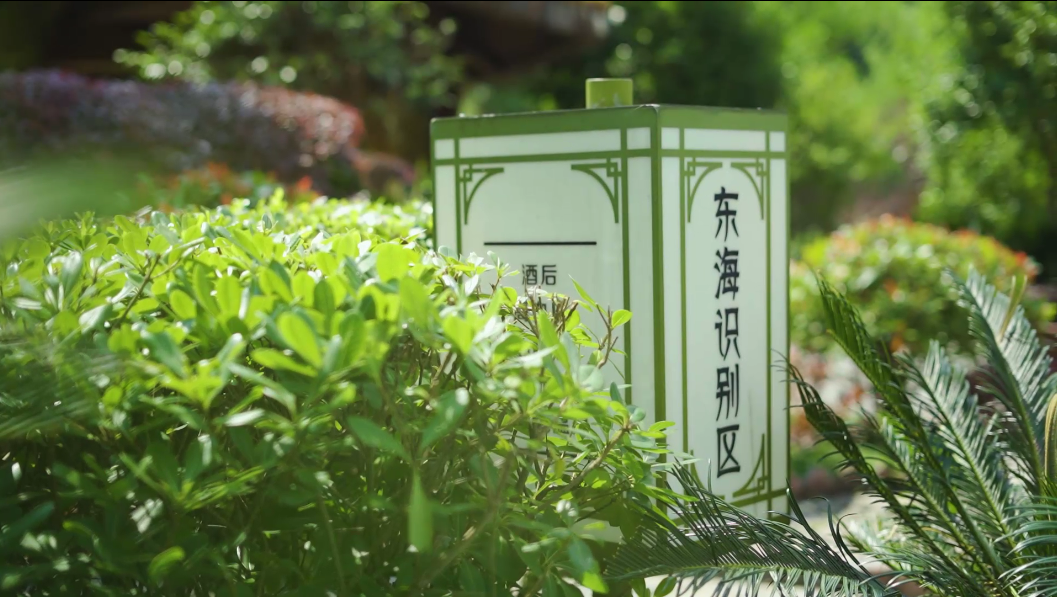 6-13  希望这个夏天有惊喜 有心动 有人陪你吹风泡泉